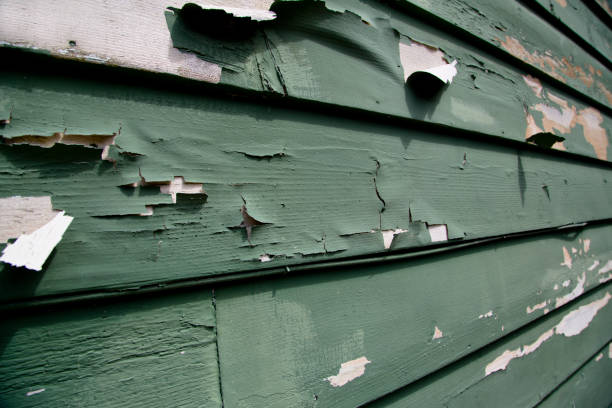 Siding Removal and Disposal in San Leon, TX